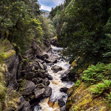Tasmanien, Leven Canyon