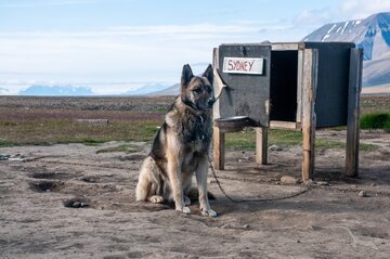 Spitzbergen, Longyearbyen