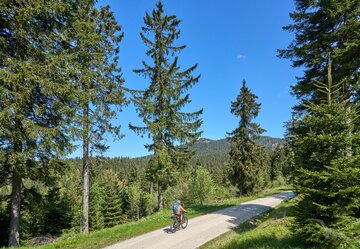 Bayerischer Wald mit Bodenmais