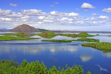 Mývatn-See, Island