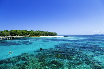 Koralleninsel im Great Barrier Reef Marine Park