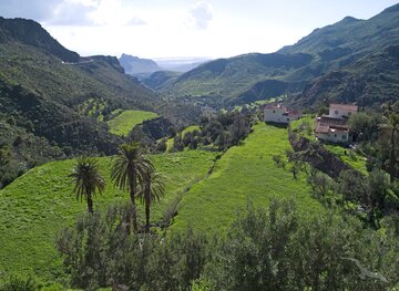 Las Palmas, Guayadeque