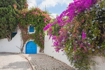 Kuenstlerdorf Sidi Bou Said, Tunesien