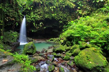 Emerald-Pool im Morne Trois Piton Nationalpark, Dominica