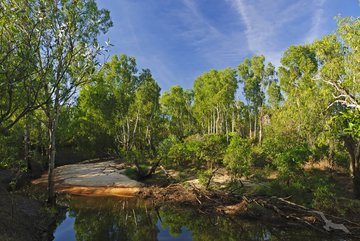 Naturschutzpark Billabong, Australien
