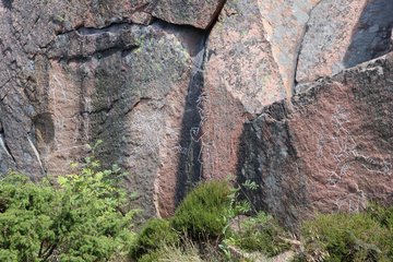 Felsgravuren in Lysekil