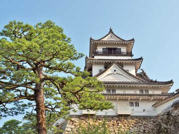 Burg Kochi, Japan