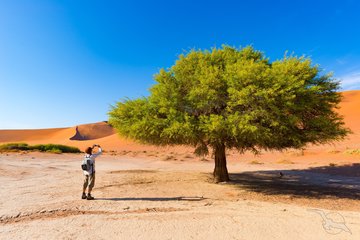Namib-Naukluft-Nationalpark