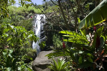 Concord-Wasserfall, Grenada