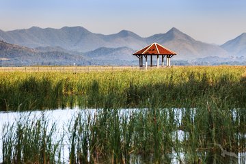 Fruchtbares Tal zwischen den Bergen Papua Neuguineas