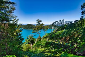 Nelson, Nationalpark Abel Tasman