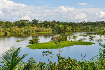 Delta des Amazonas, Brasilien