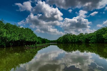 Cartagena de Indias, Mangrovenfahrt