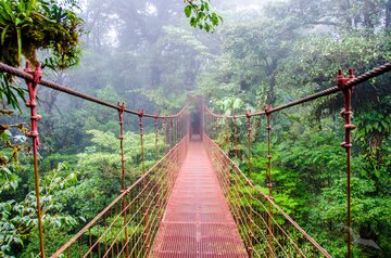 Monteverde Hängebrücke in Costa Rica