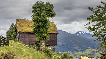 Nordfjord Impressionen