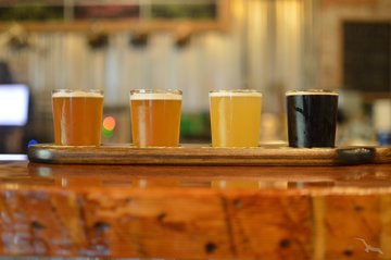 Verschiedene Biersorten in einer Brauerei