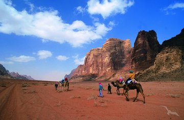 Kamele im Wadi Rum, Jordanien