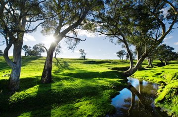 Adelaide Hills, Australien