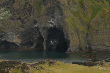 Höhlen in Mormonapollur, Island