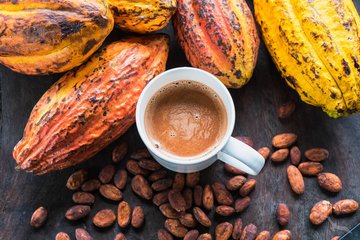 Kakao mit Kakaobohnen