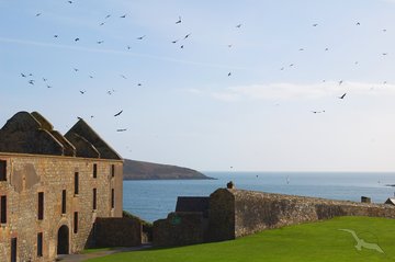 Charles Fort, Irland