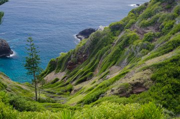 Küste der Norfolkinsel, Australien