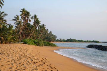 Strand von Sri Lanka