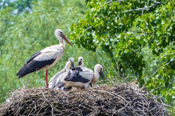 Landschaftsfahrt durch die Küstenregion