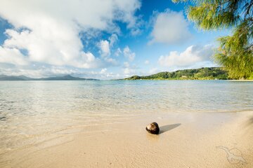 Raiatea, Französisch-Polynesien