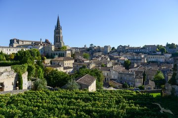 Weinberge vor Saint Emilion, Frankreich
