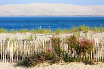 Dune du Pyla, Frankreich