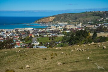 Oamaru