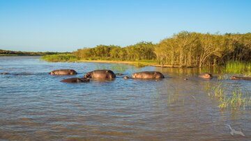 iSimangaliso-Wetland-Park und Hluhluwe (1 Ü.)
