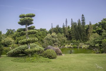 Botanischer Garten in Santo Domingo, Dominikanische Republik