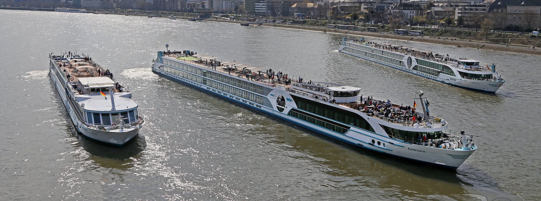 MS Anesha, MS Amelia und MS Rhein Prinzessin in K&ouml;ln