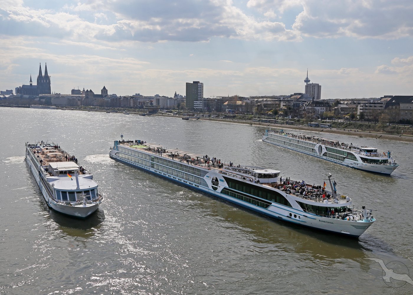 MS Anesha, MS Amelia und MS Rhein Prinzessin in K&ouml;ln