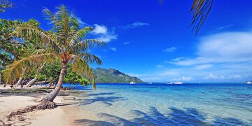 Baden in der Südsee