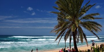 Baden auf Hawaii (ART440N1)