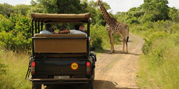 St. Lucia mit Nilpferden, Safari Hluhluwe, zu Besuch bei den Zulus (AMA564N2)