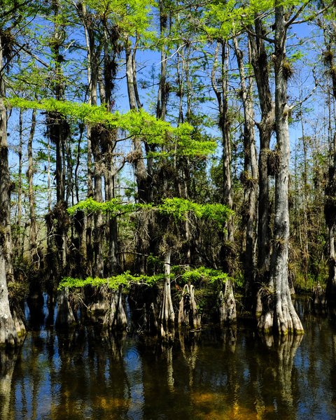 Get Kuesten moebel florida For Free Kuesten Moebel Florida