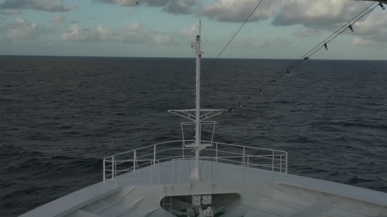 wo ist die ms amadea heute