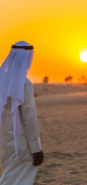 Sonnenuntergang in der Wüste, VAE