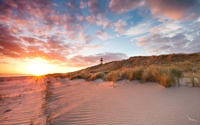 List auf Sylt, Strand