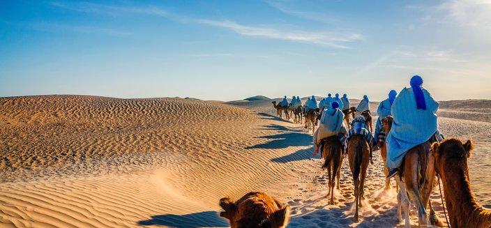 Kolonne an Kamelen durch die Sahara Wüste, Tunesien